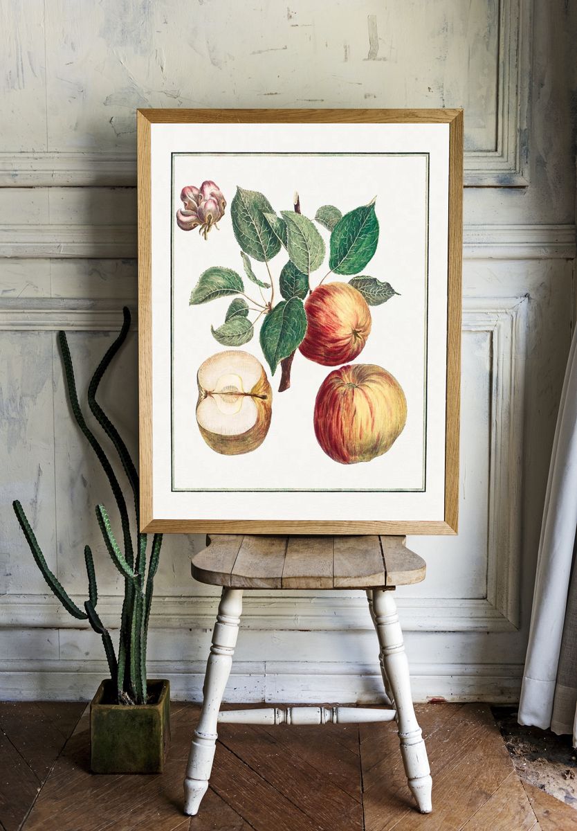Apple Botanical Illustration Poster. — room view 1