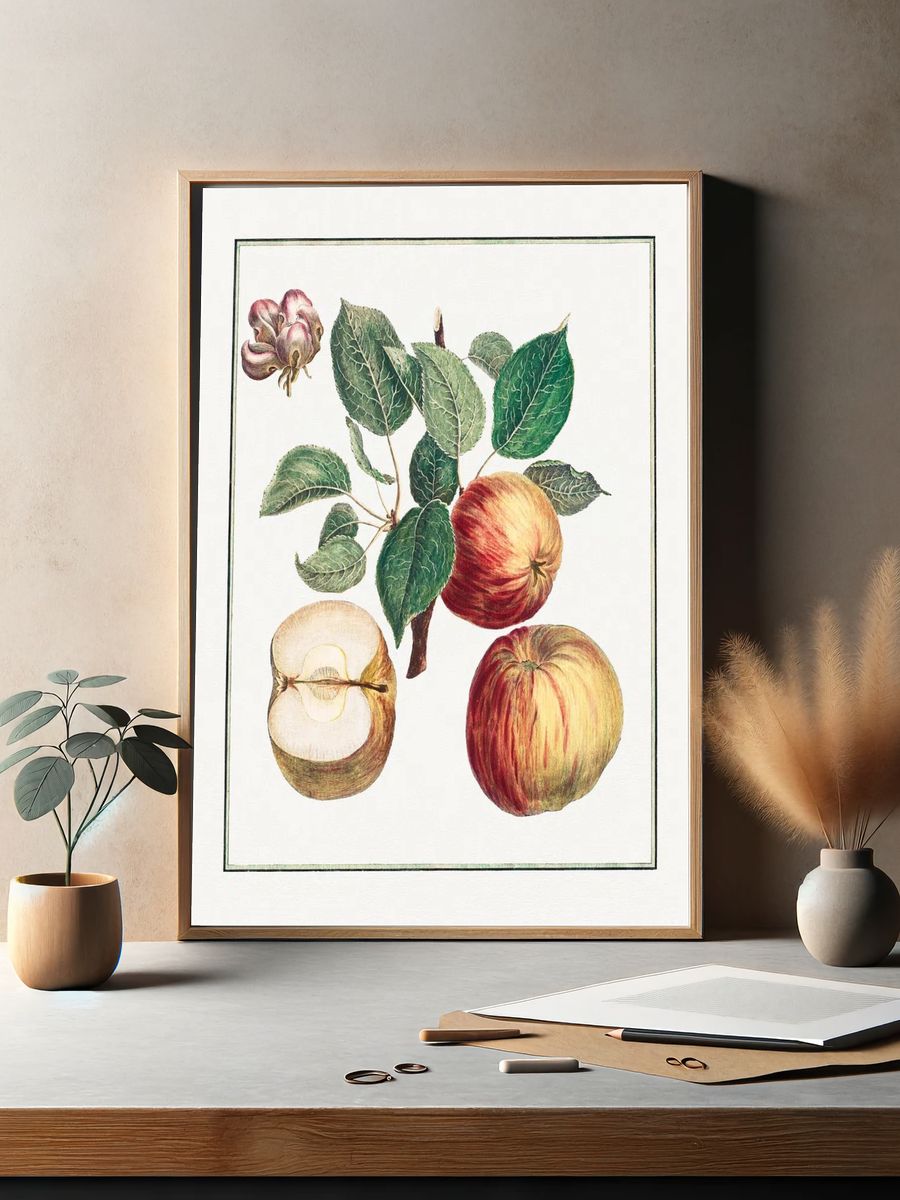 Apple Botanical Illustration Poster. — room view 2