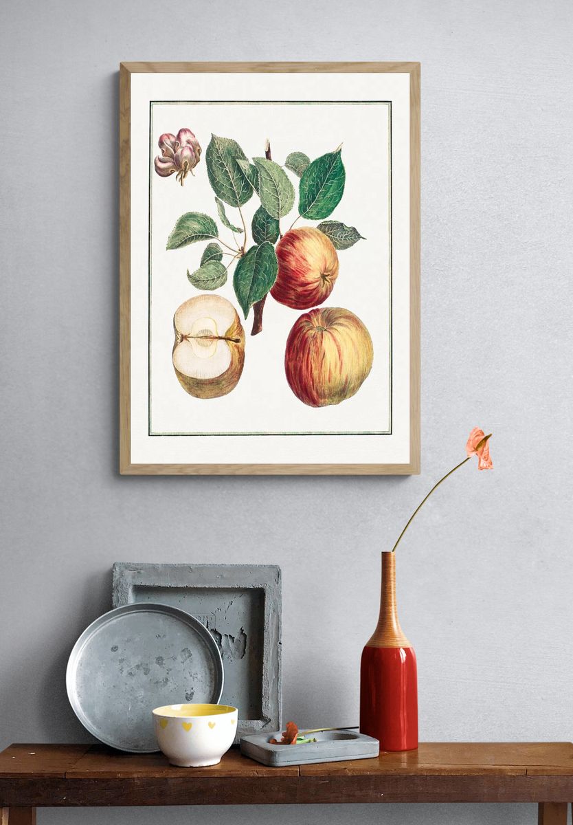 Apple Botanical Illustration Poster. — room view 3