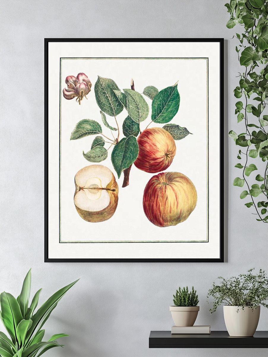 Apple Botanical Illustration Poster. — room view 4