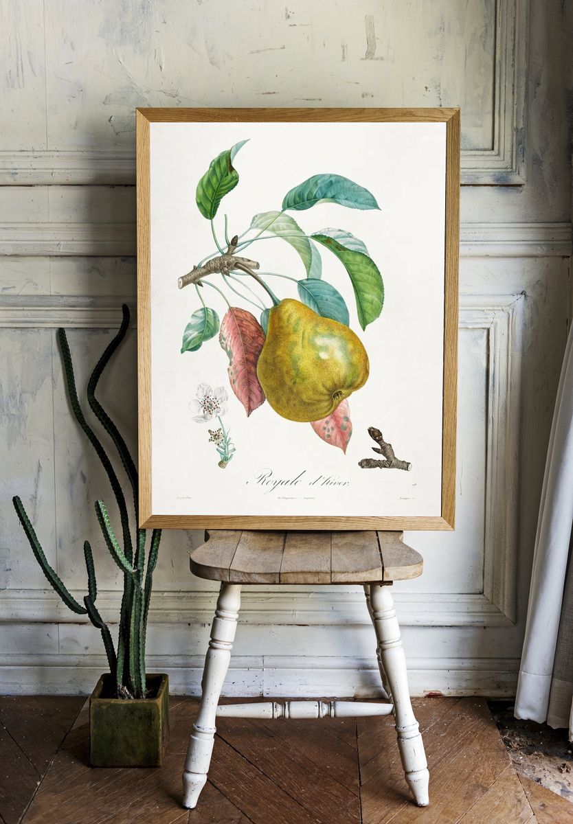 Traité des arbres fruitiers: Royal. room preview