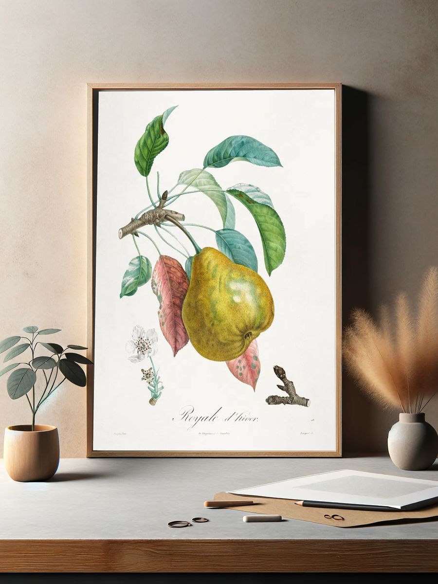 Traité des arbres fruitiers: Royal. — room view 2