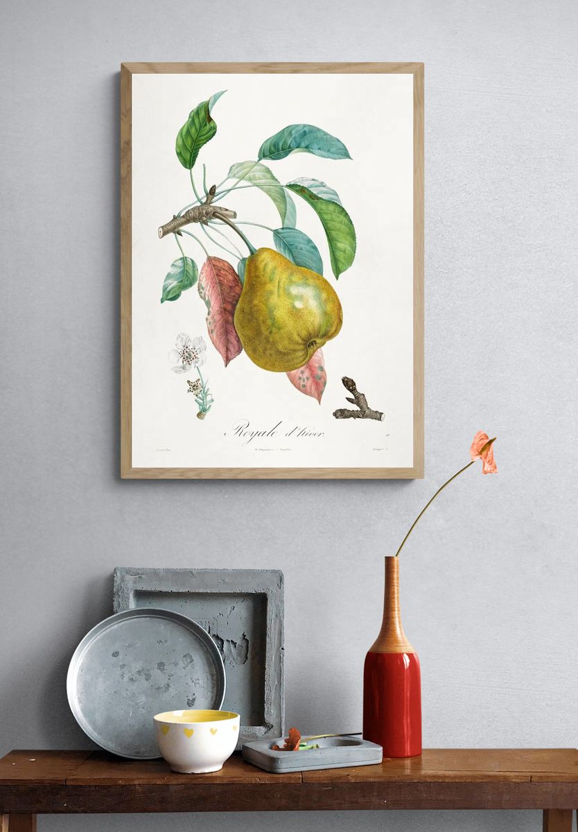 Traité des arbres fruitiers: Royal. — room view 3