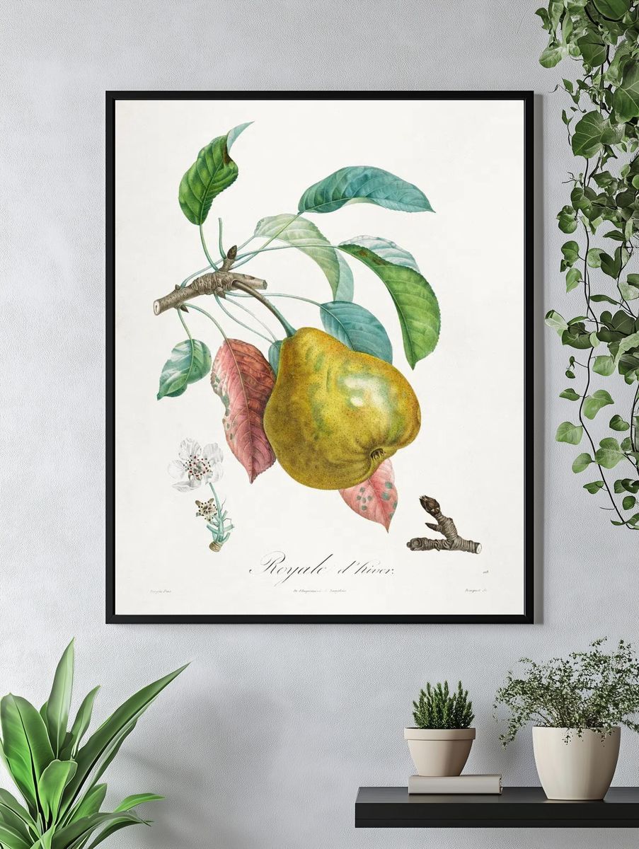 Traité des arbres fruitiers: Royal. — room view 4