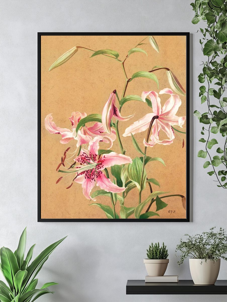 Lilies no. 5 (1886) high. — room view 4