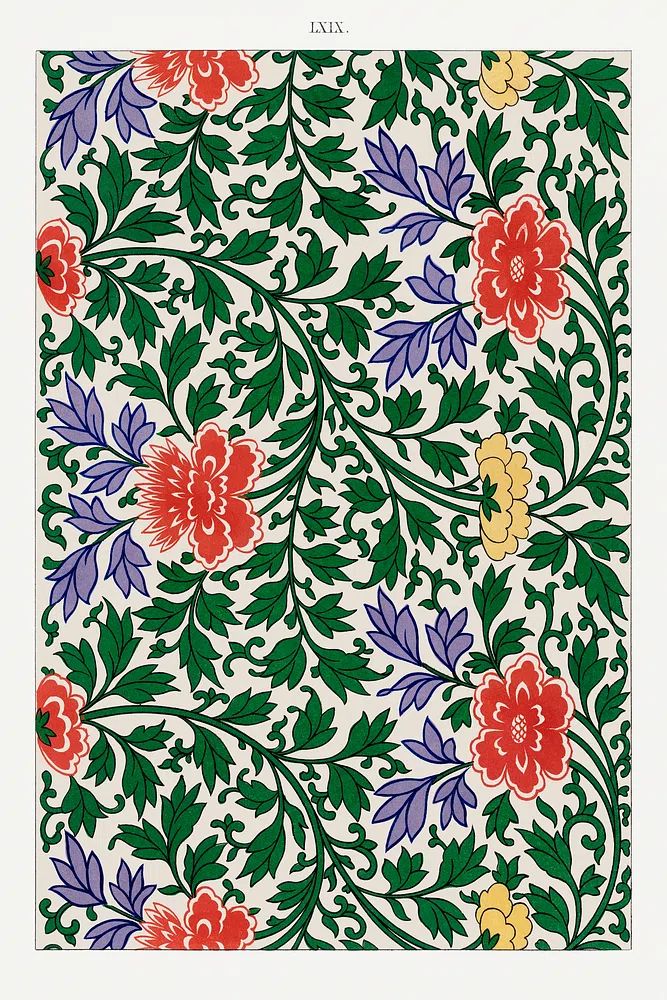 Chinese botanical illustration, Examples Chinese. poster — botanical art