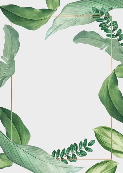 Hand drawn tropical leaves white. poster