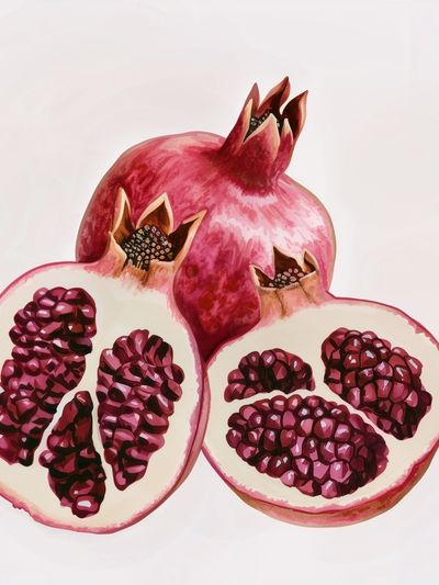 Pomegranate Still Life Illustration Poster.