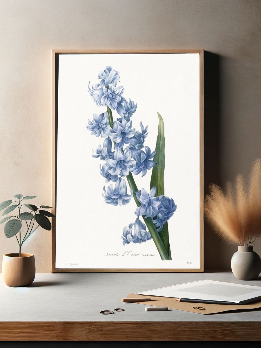 Oriental hyacinth. Blue variety (1827). — room view 2