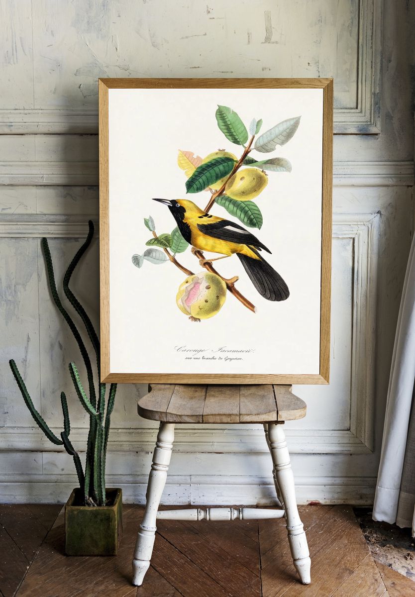 Jacamar bird painting. — room view 1