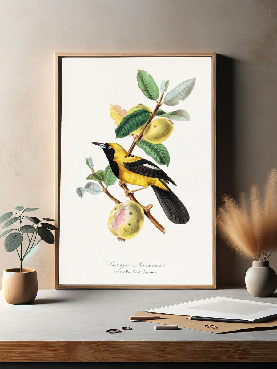 Jacamar bird painting. — room view 2