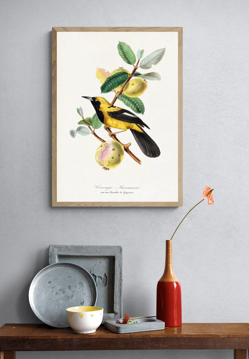 Jacamar bird painting. — room view 3