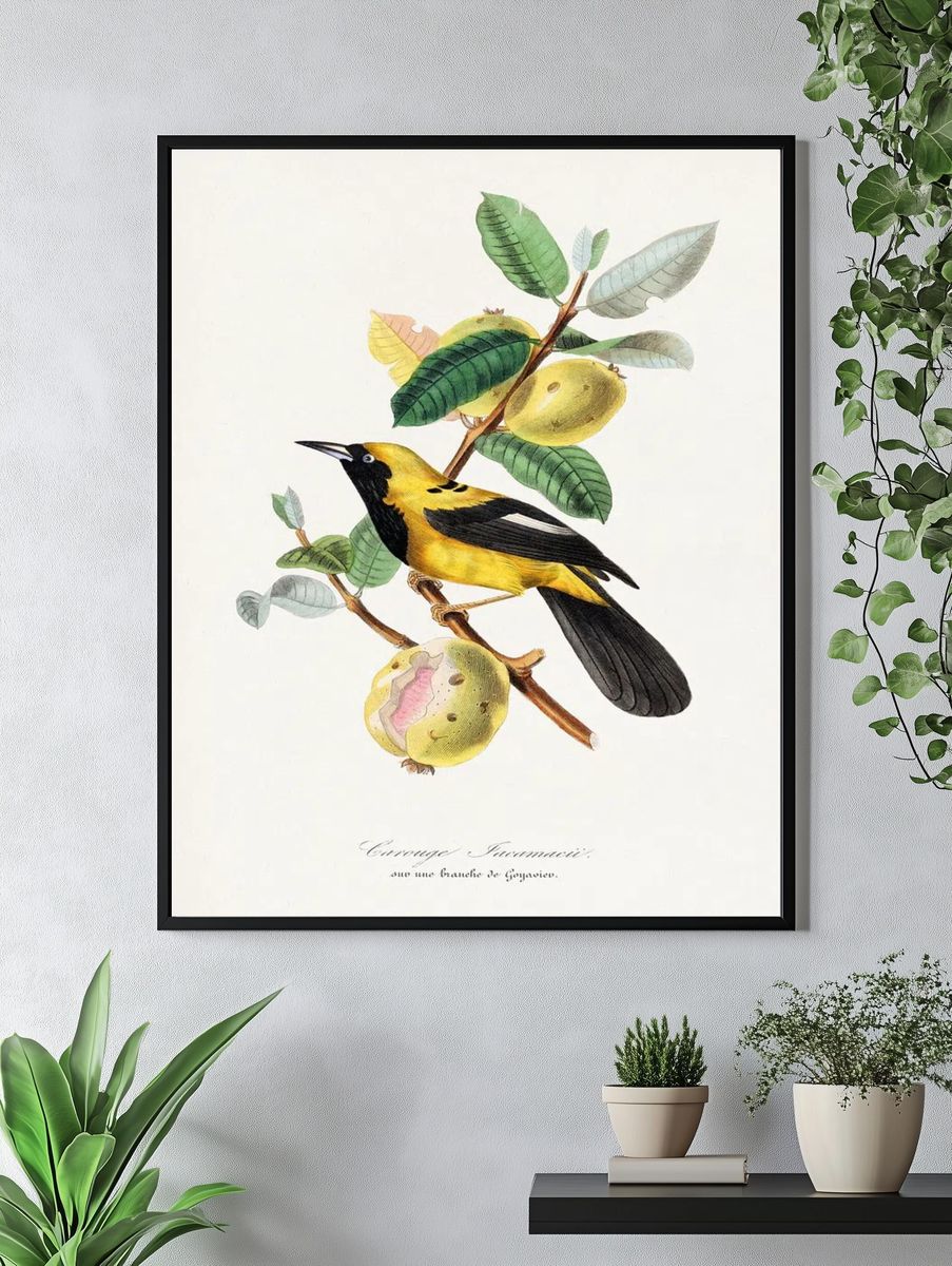 Jacamar bird painting. — room view 4