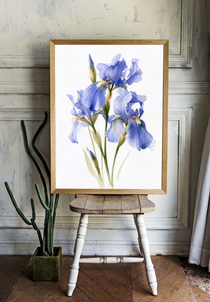 Blue Iris Botanical Print. room preview
