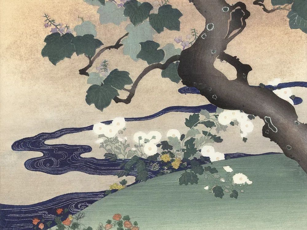 Tree chrysanthemums (1890–1900) Kogyo Tsukioka. poster — botanical art