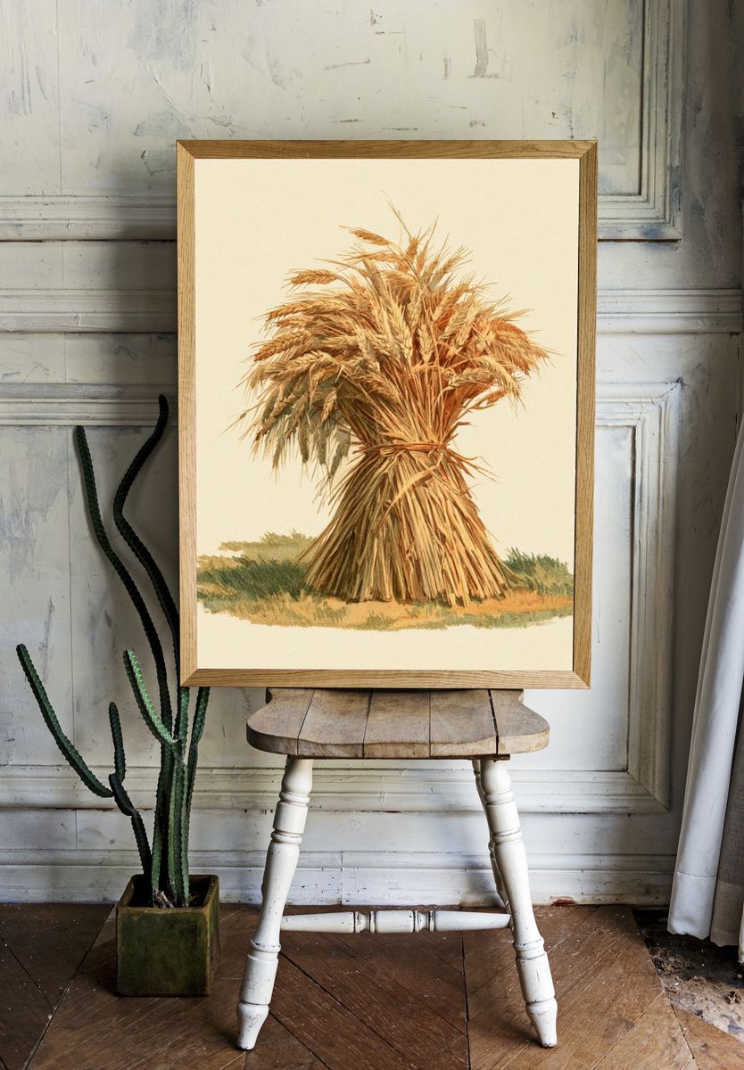 Wheat Sheaf Botanical Print. — room view 1