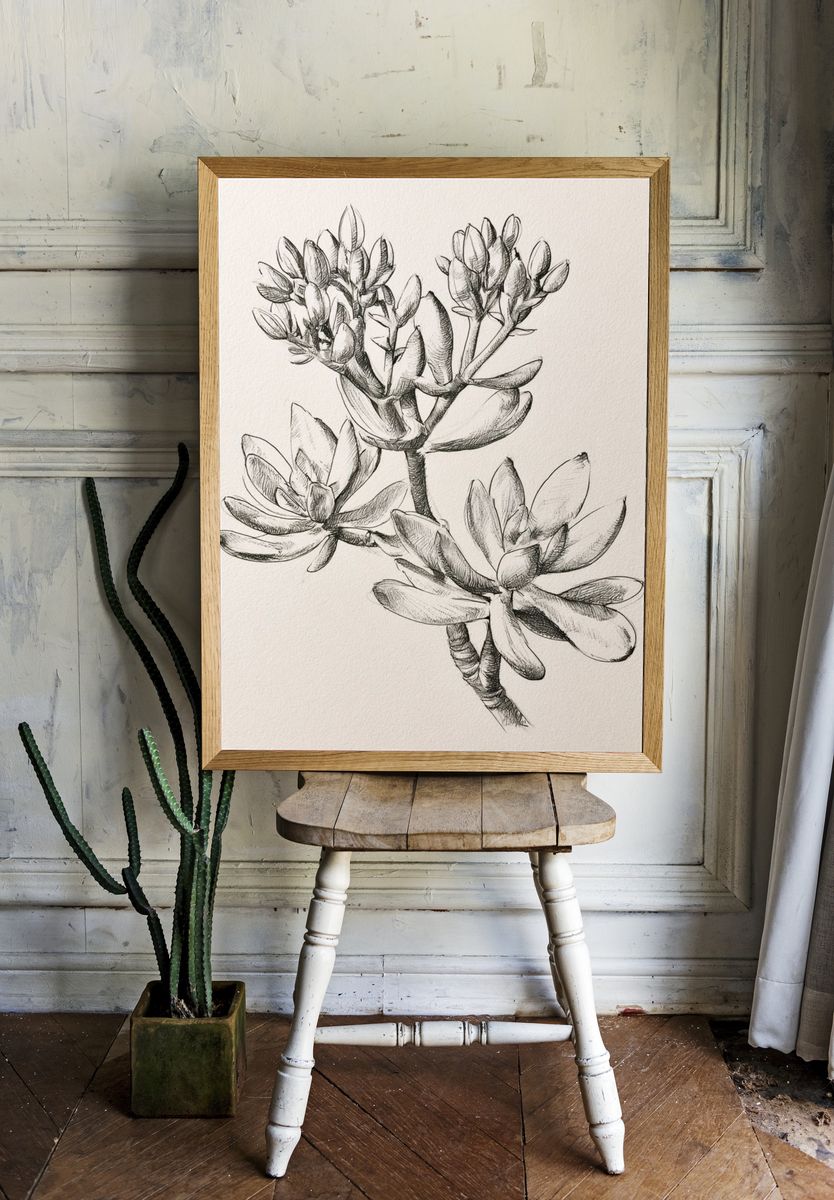 Succulent Botanical Sketch Poster. — room view 1