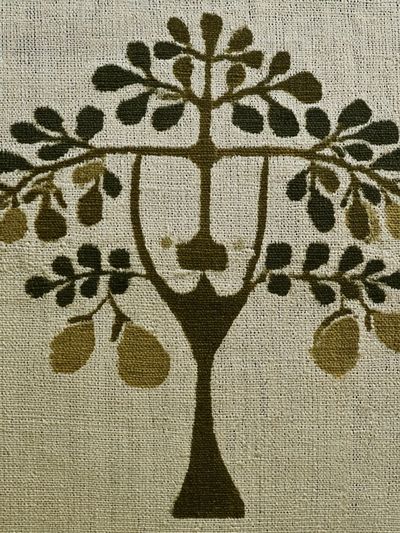 Olive Tree Botanical Print.