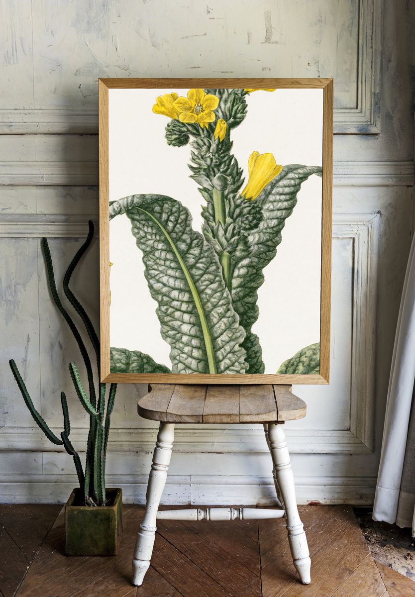 Yellow Flower Botanical Print. — room view 1