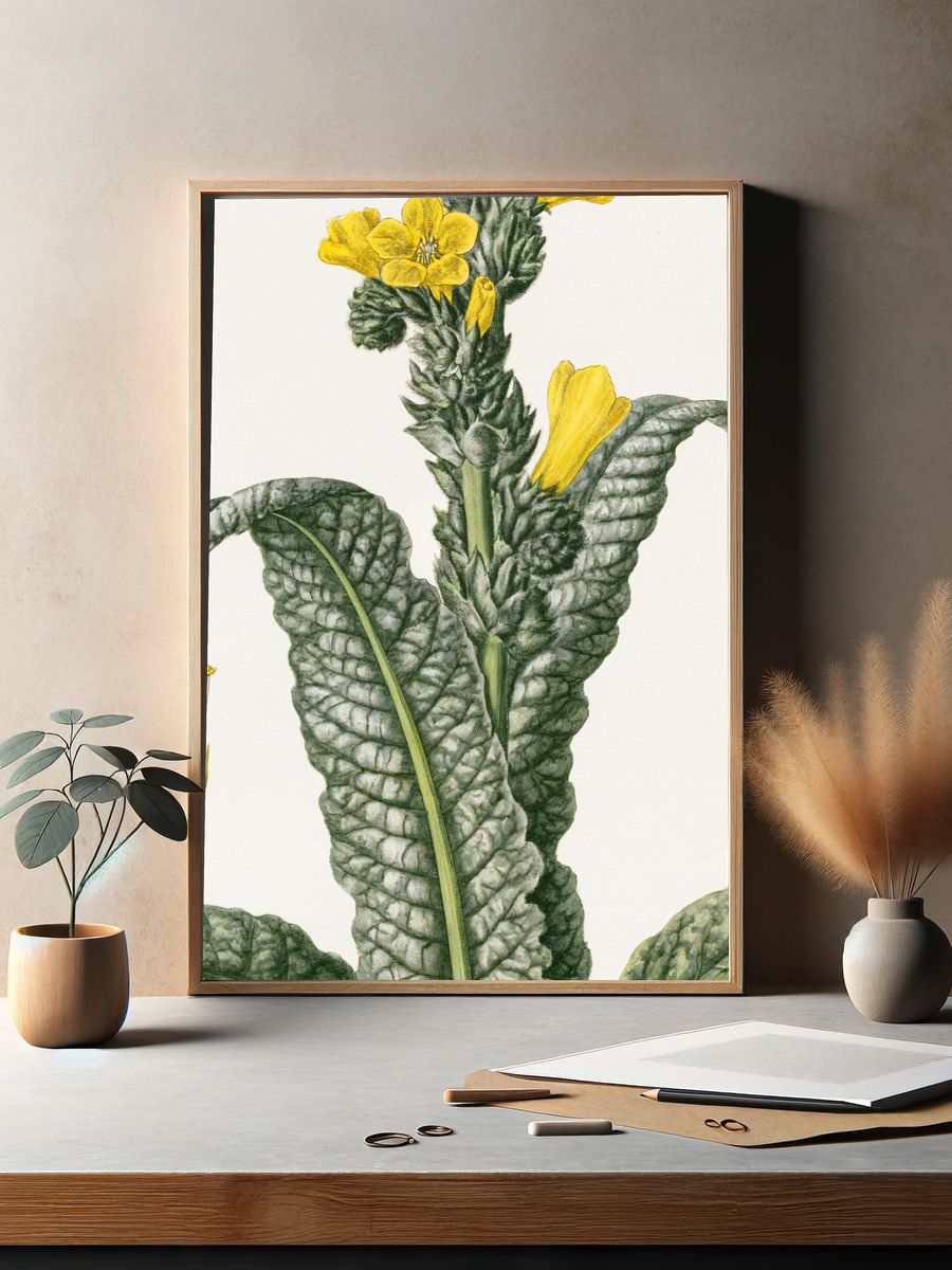 Yellow Flower Botanical Print. — room view 2