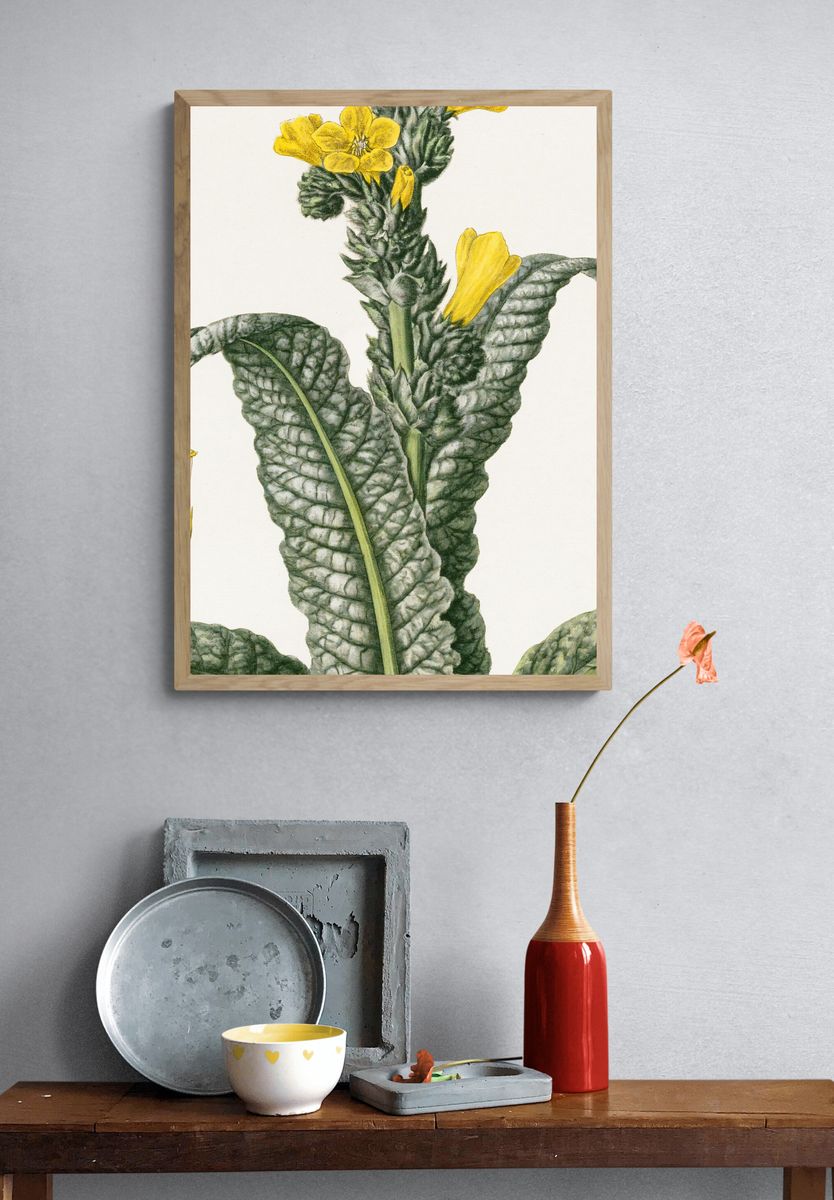 Yellow Flower Botanical Print. — room view 3