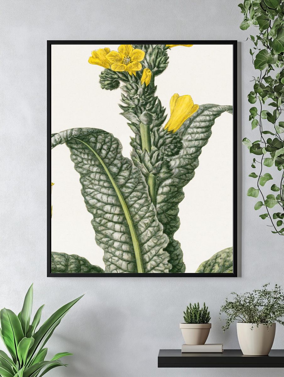Yellow Flower Botanical Print. — room view 4
