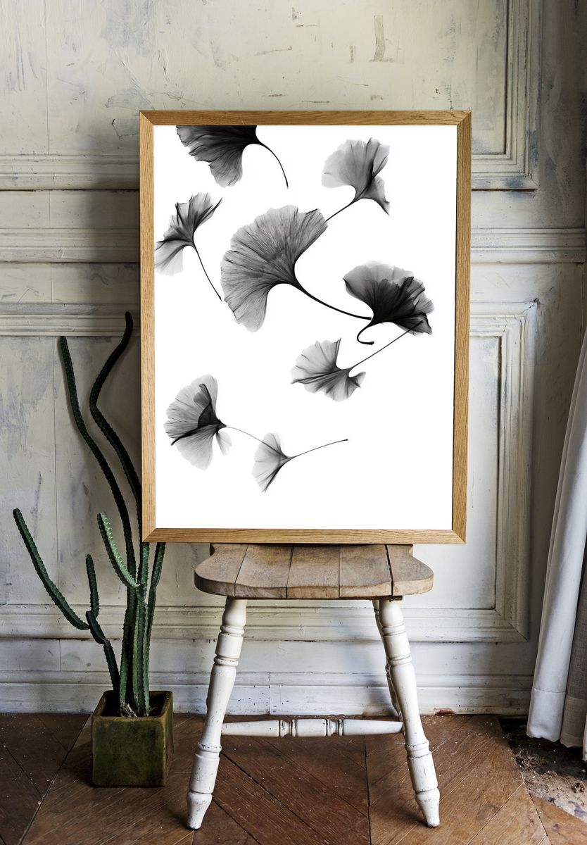 Ginkgo Leaves Black-White Print. room preview