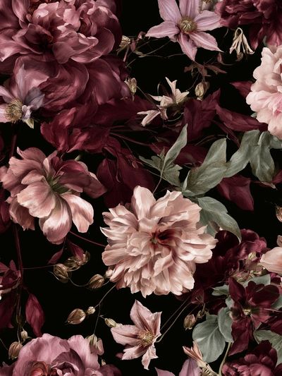 Mauve Peonies Botanical Poster.