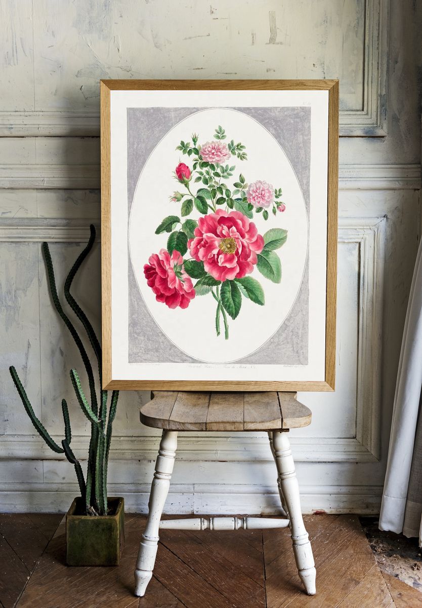 Damask Rose (1787) high resolution. — room view 1