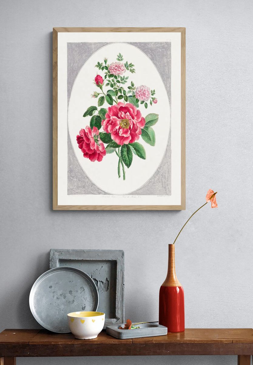 Damask Rose (1787) high resolution. — room view 3