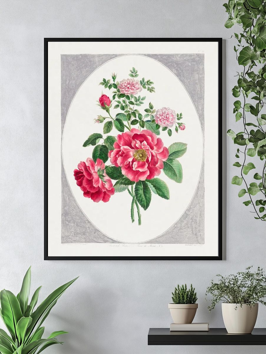 Damask Rose (1787) high resolution. — room view 4