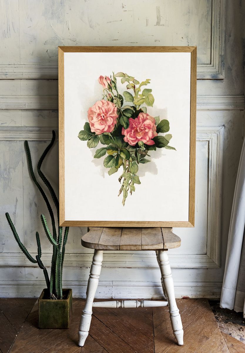 Pink Roses Botanical Print. — room view 1