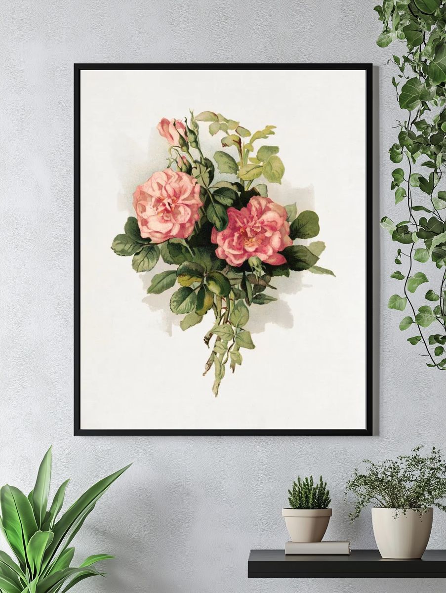 Pink Roses Botanical Print. — room view 4