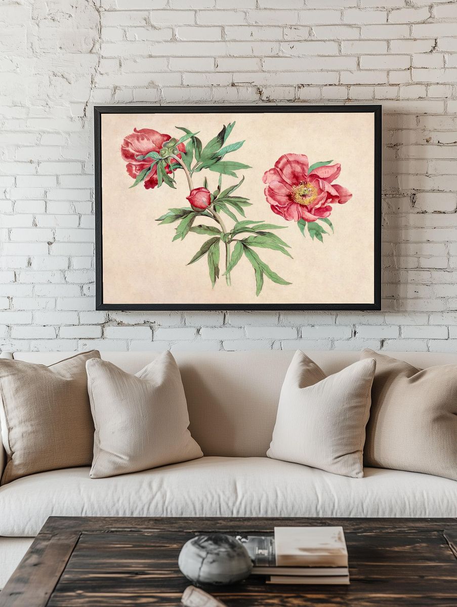 Studies Peonies (1472-1473) painting high. — room view 1