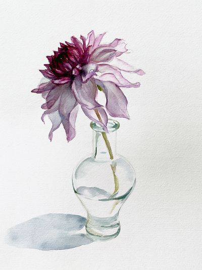 Purple Dahlia Watercolor Print. poster