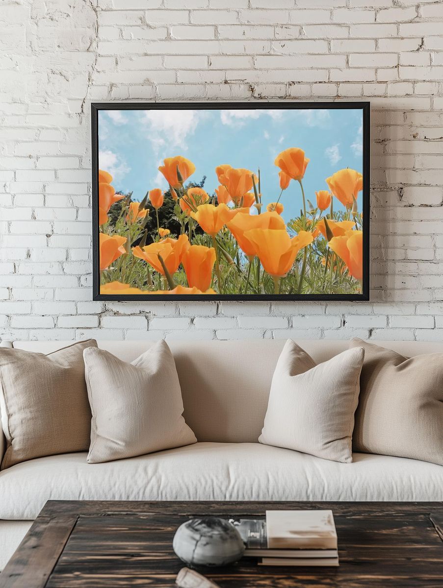 Spring background orange flowers field. — room view 1