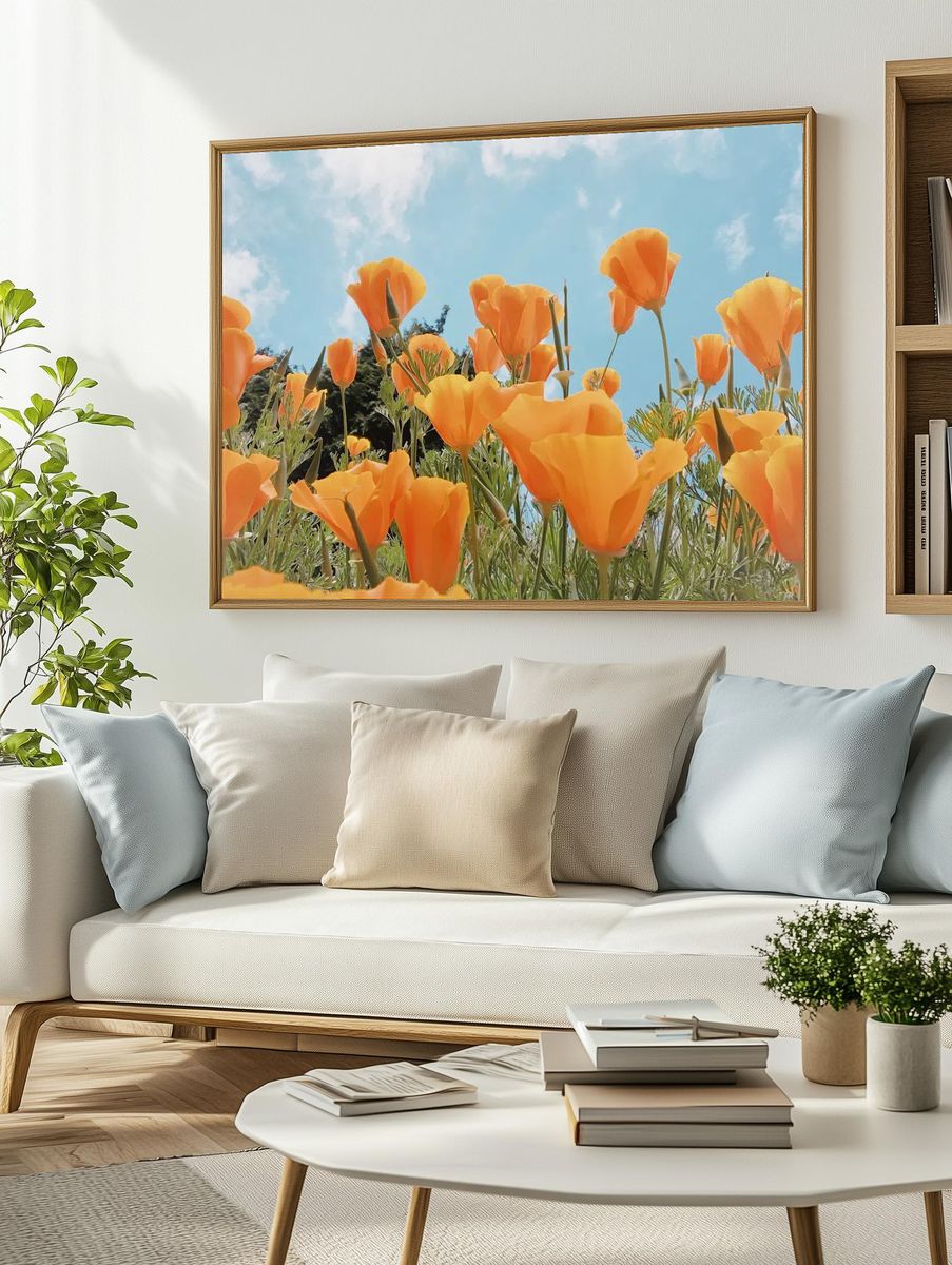 Spring background orange flowers field. — room view 2