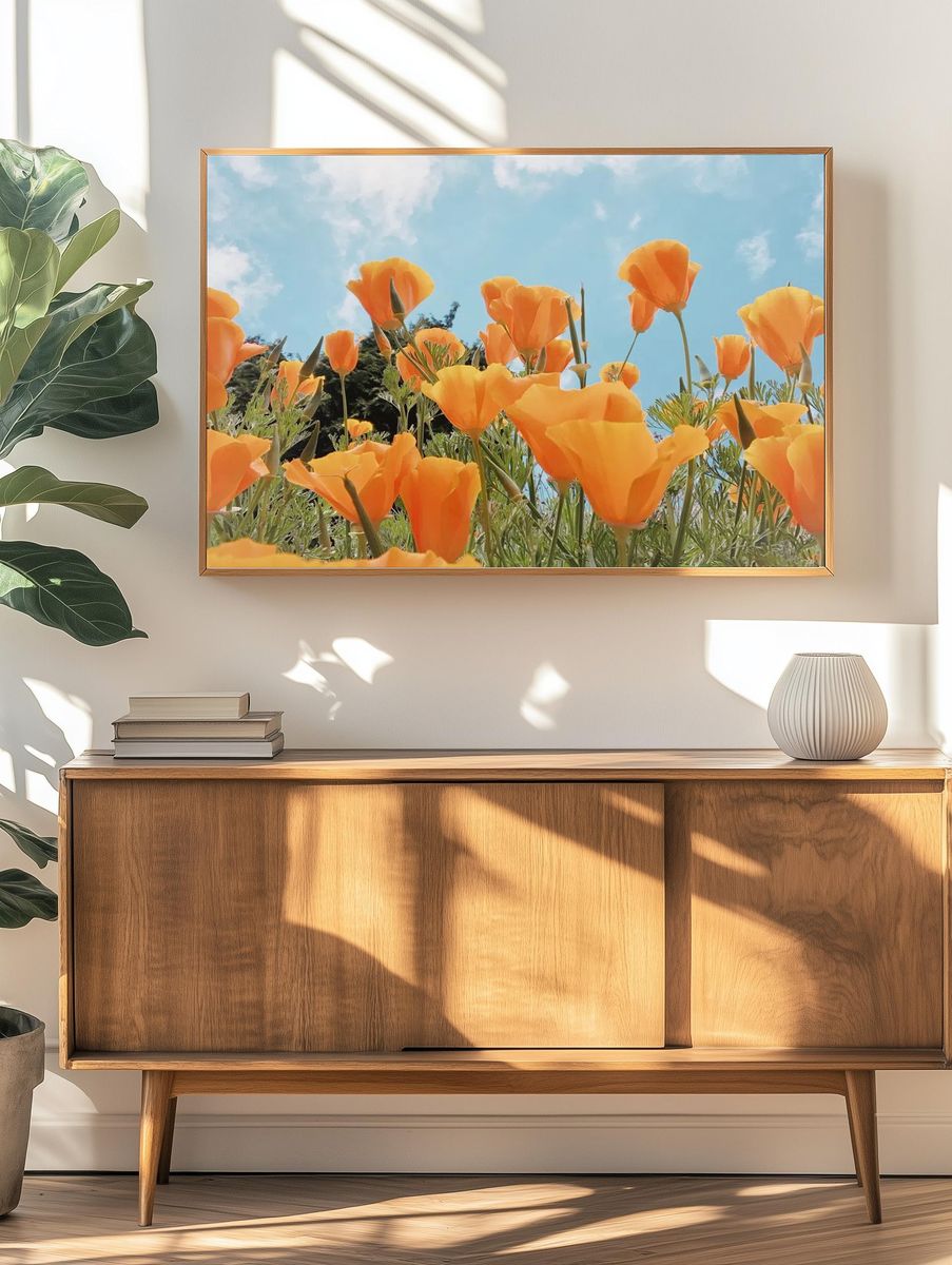 Spring background orange flowers field. — room view 3
