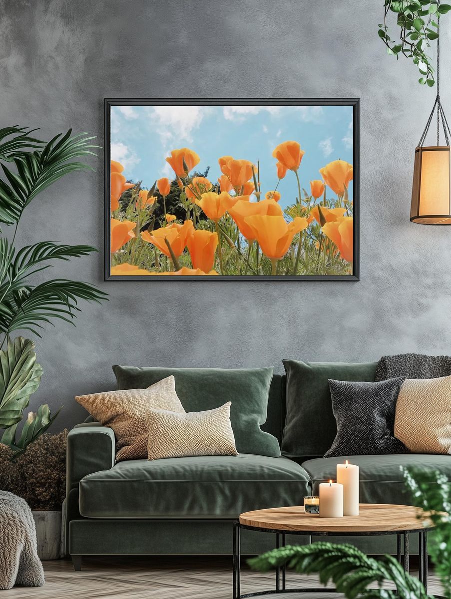 Spring background orange flowers field. — room view 4