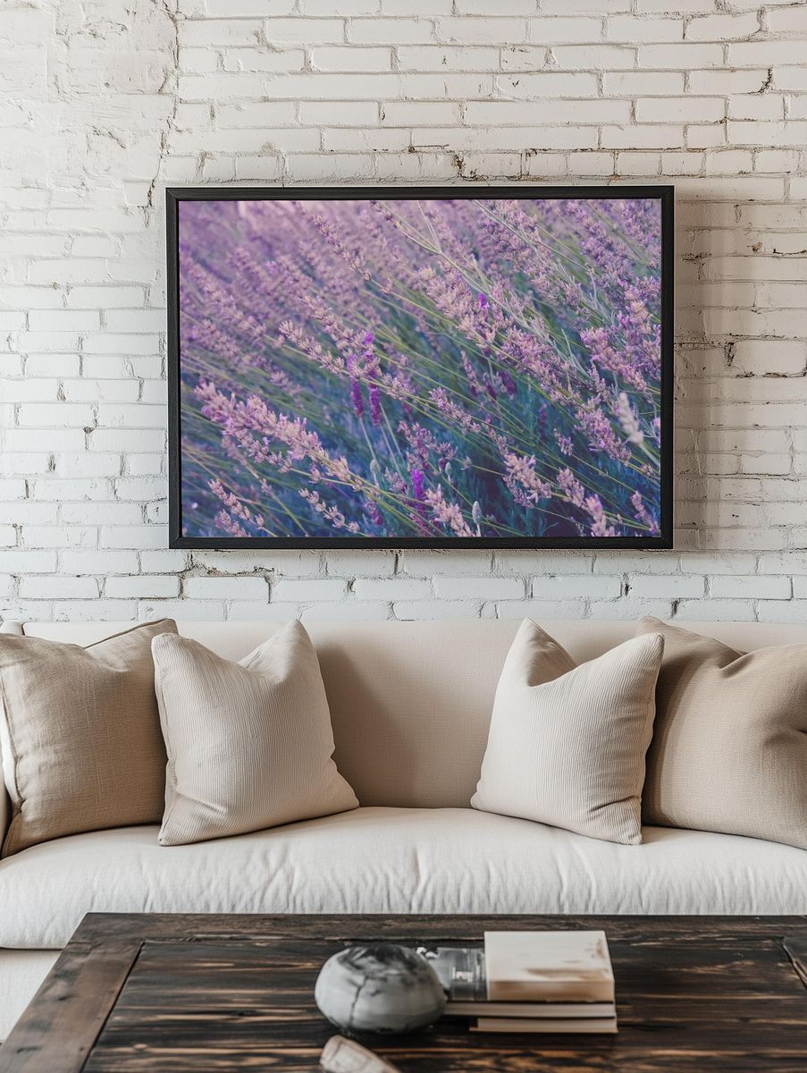 Tall lavender plants swaying wind. room preview