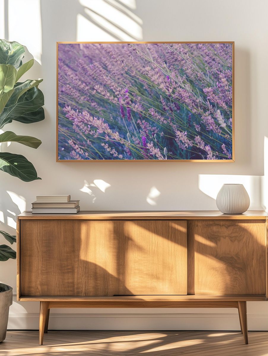 Tall lavender plants swaying wind. — room view 3