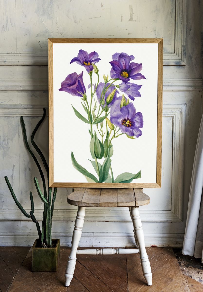 Eustoma russelianum (1930) Mary Vaux. — room view 1
