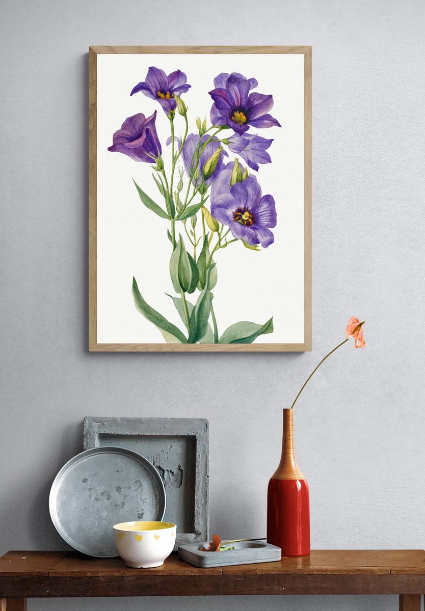 Eustoma russelianum (1930) Mary Vaux. — room view 3