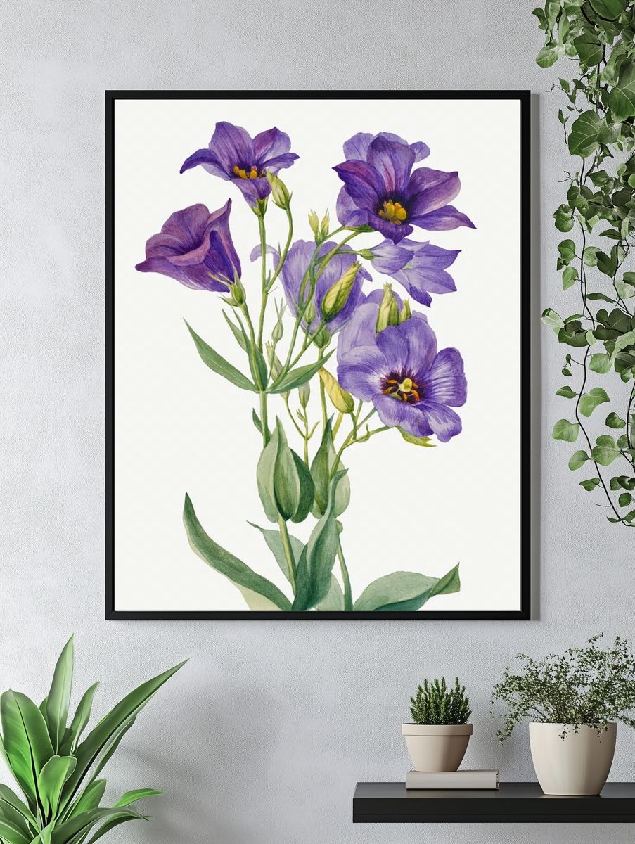 Eustoma russelianum (1930) Mary Vaux. — room view 4