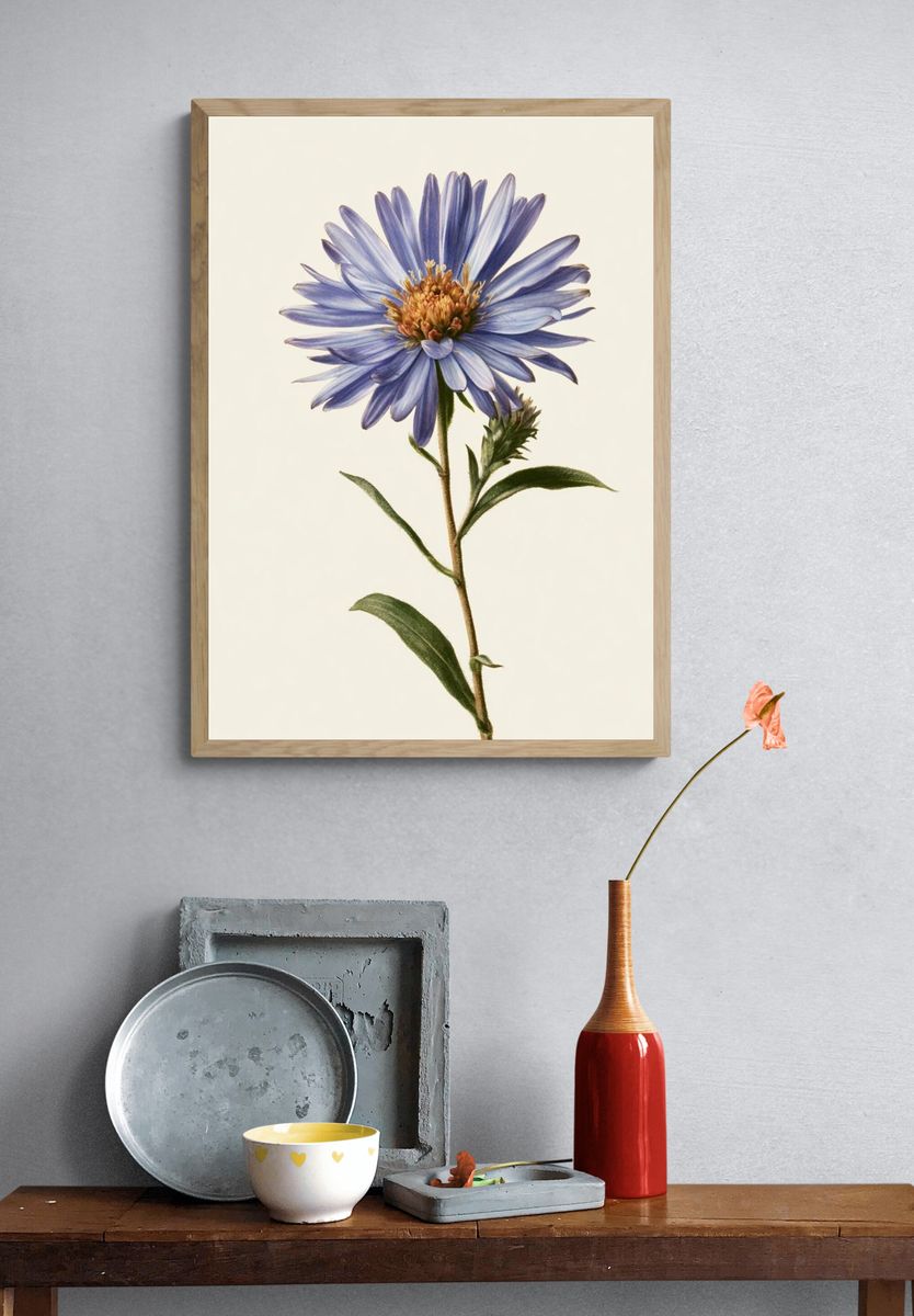 Blue Aster Botanical Print. — room view 3