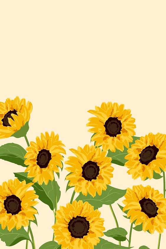 Sunflower iPhone wallpaper, aesthetic spring. poster — botanical art