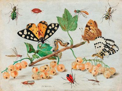 Insects Fruits (1660–1665) Jan van. poster print