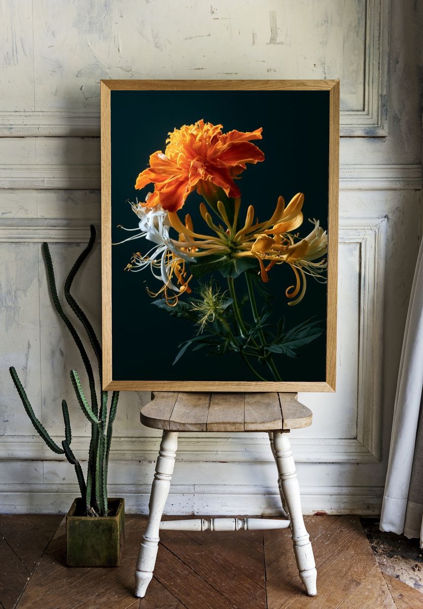 Orange Bloom Botanical Print. room preview
