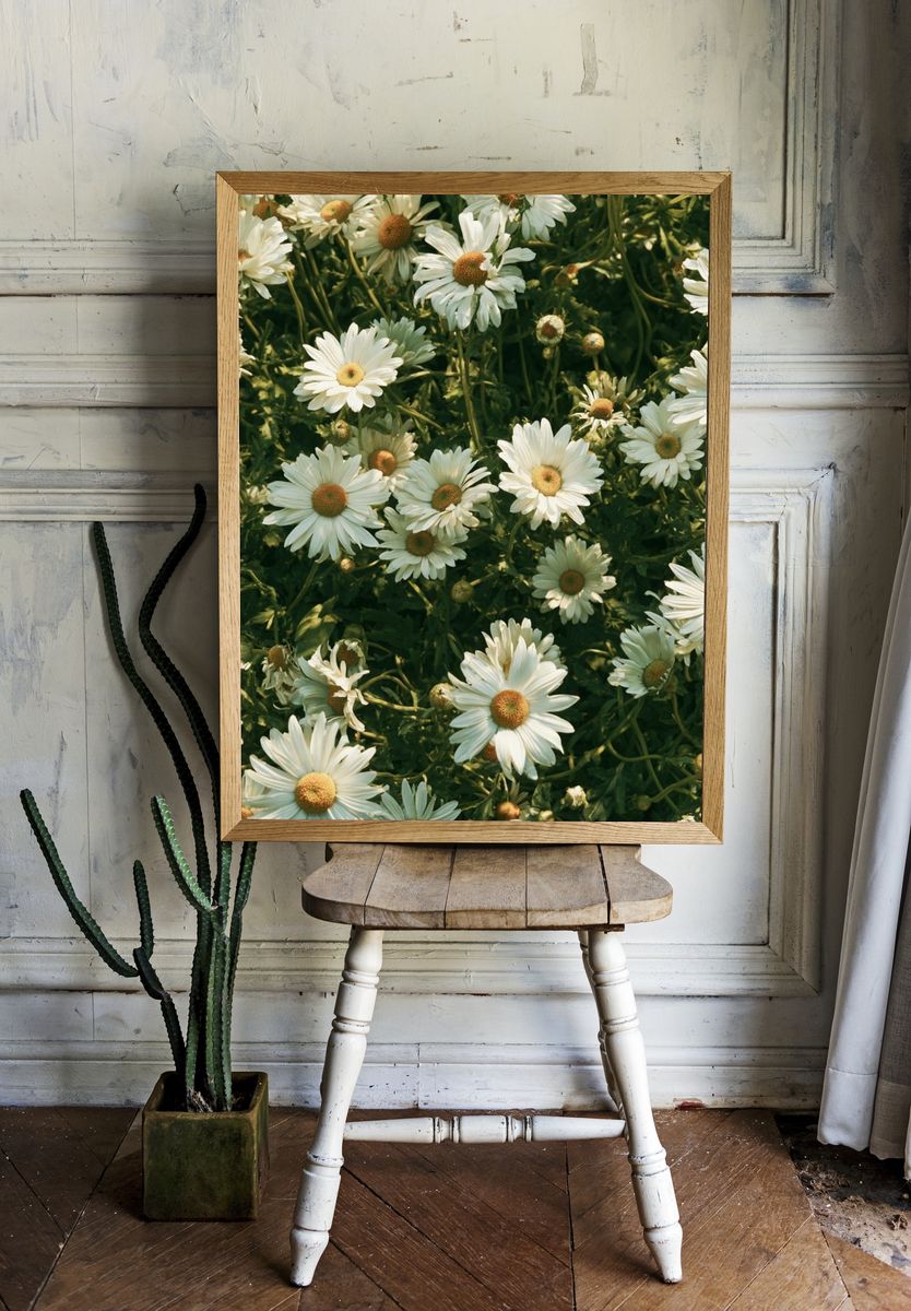 Wild Daisy Meadow Botanical Print. — room view 1