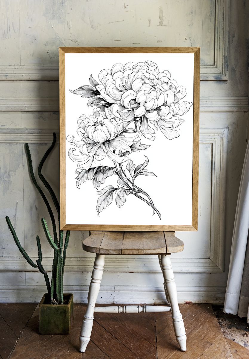 Peony Botanical Line Art Poster. room preview